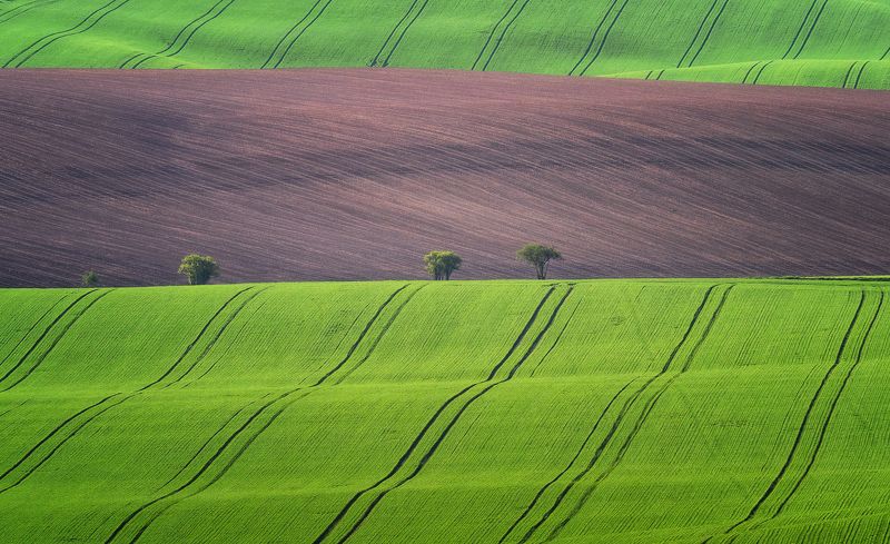 моравия, moravia, green fields, lines, spring, czech republic, hills Законы геометрии фото превью