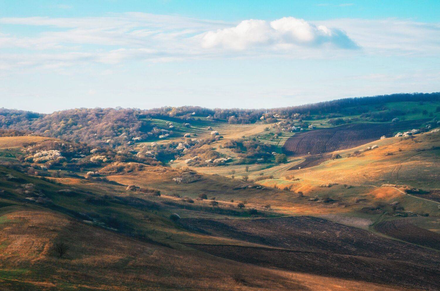 , Сергей Лукашенко