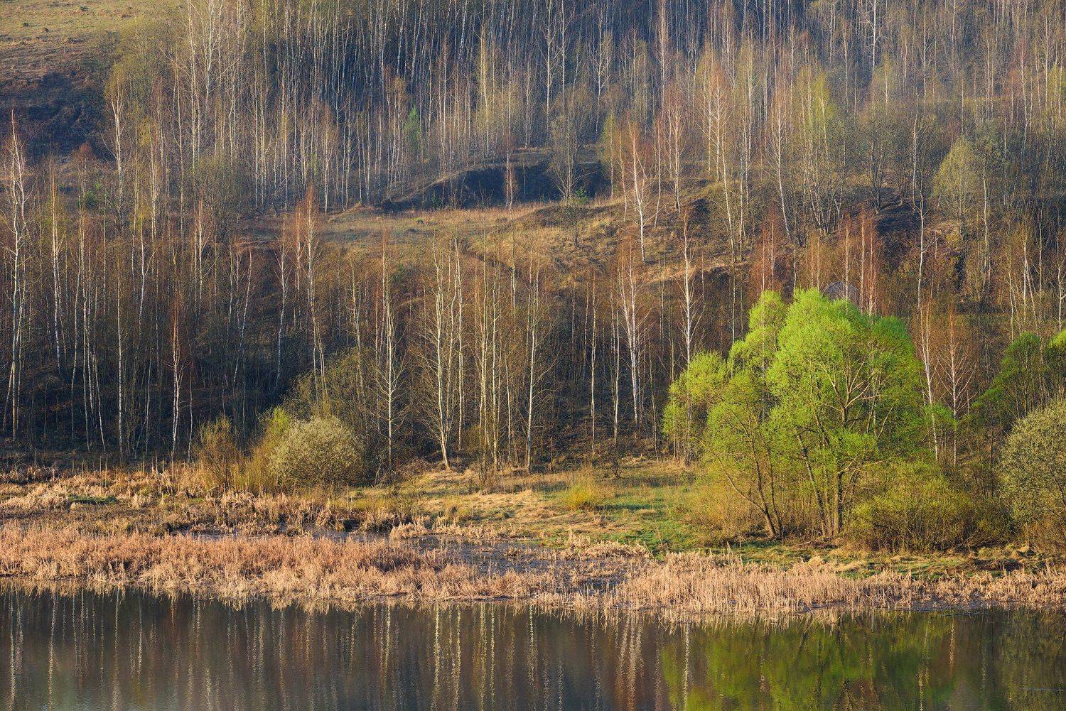 , Сергей Ершов