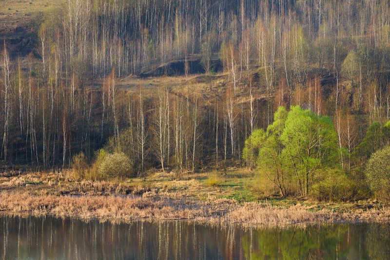 весна фото превью