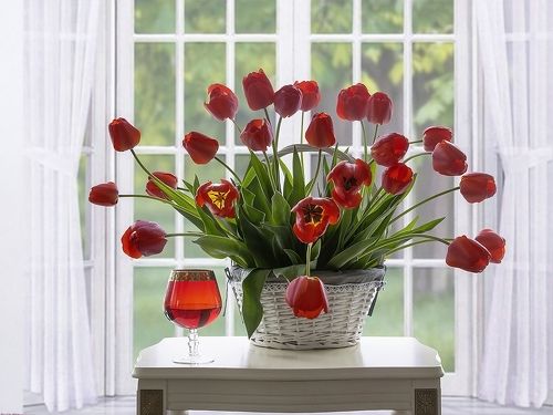 Майский натюрморт