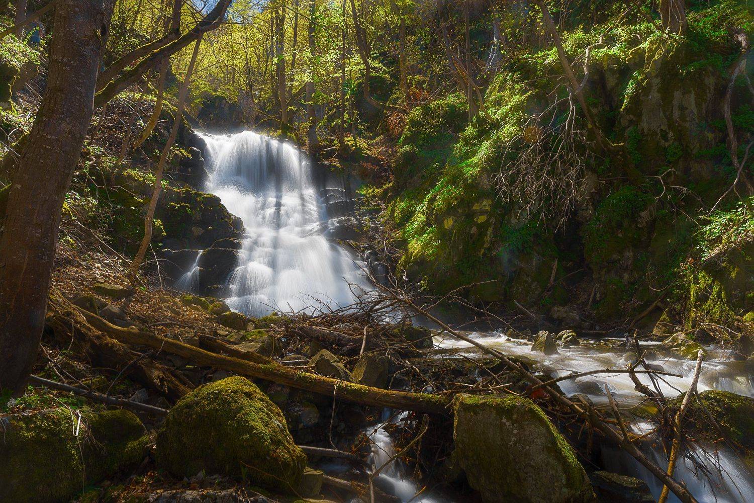 , Борислав Попов