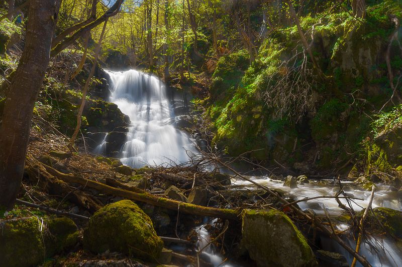 Към Боянския водопад фото превью