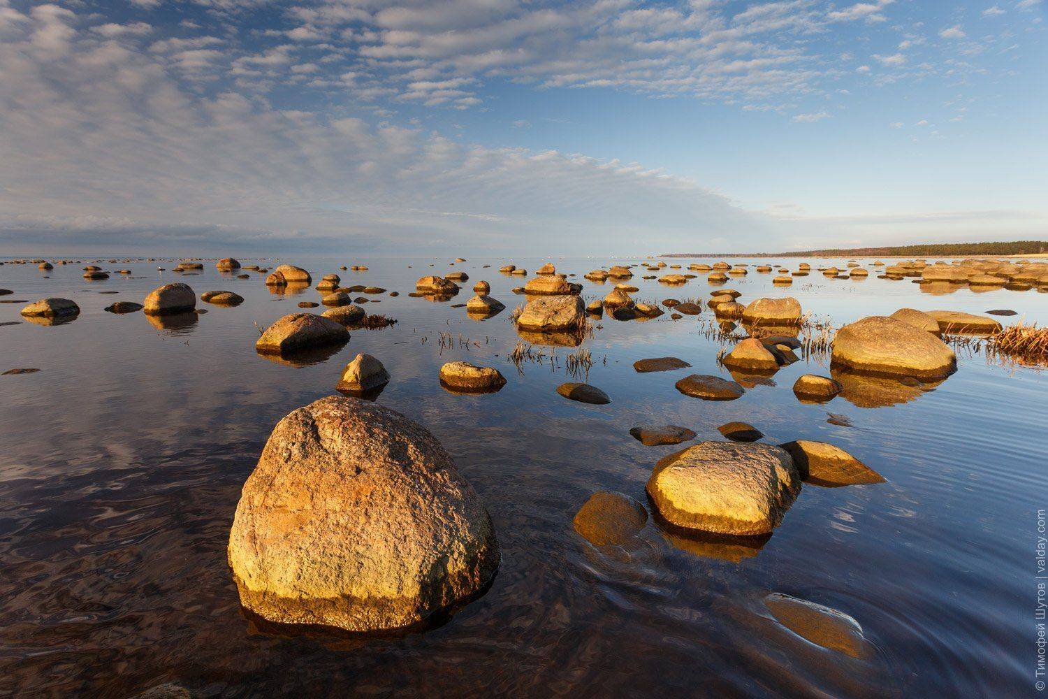 , Тимофей Шутов