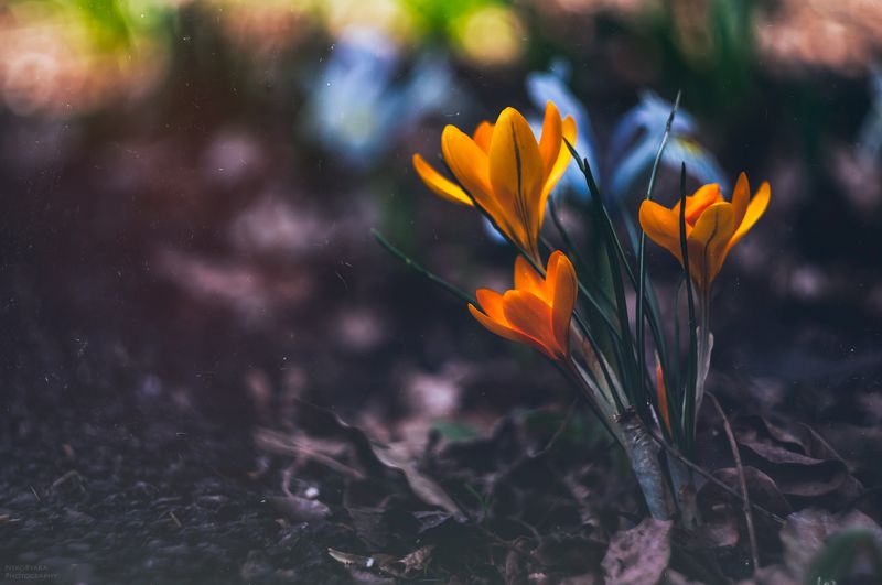 пробуждение фото превью