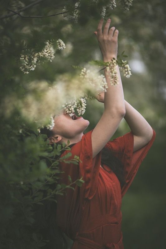 spring hunger фото превью