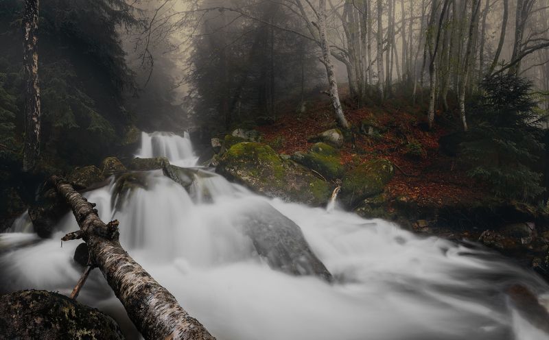По Боянска река..... фото превью