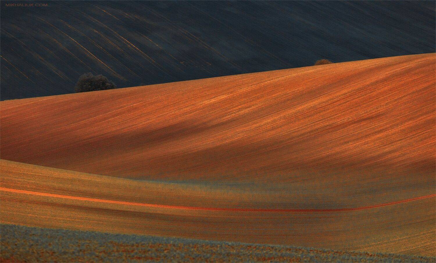 , Михалюк Сергей *