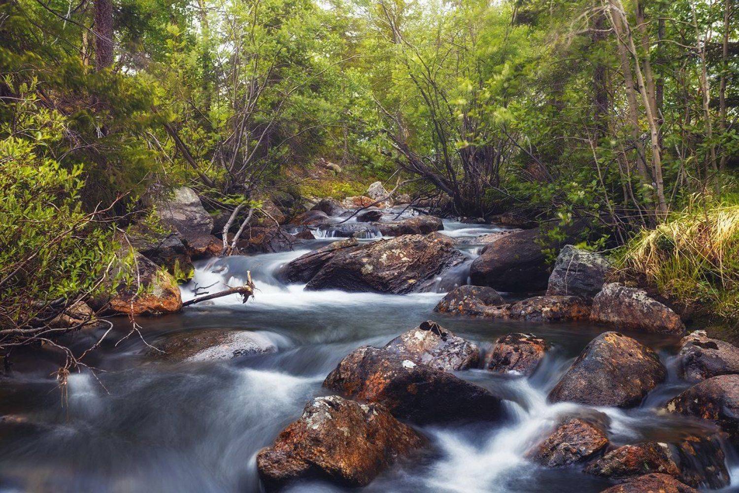 речка,горная,поток,вода,камни,бурный,лес,, Матвеев Игорь