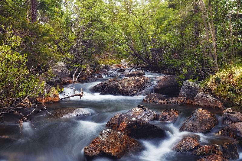 речка,горная,поток,вода,камни,бурный,лес, Горный ручей фото превью