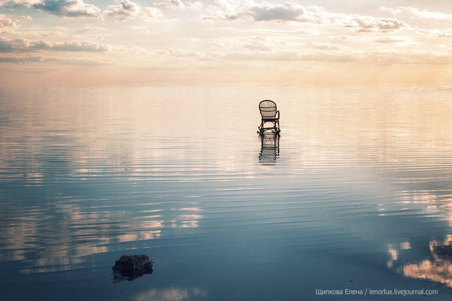 , Щипкова Елена