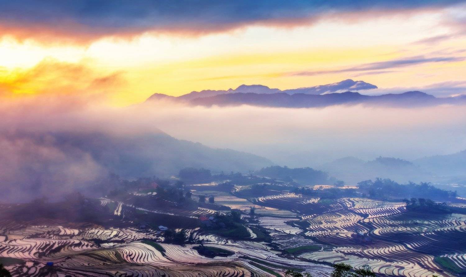 , Tuấn Nguyễn Tấn