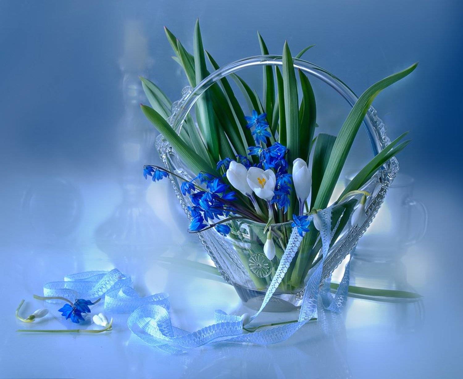 цветы , весна , перво цветы ,, Вера  Павлухина