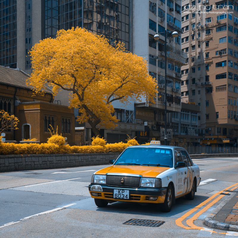 Taxi фото превью