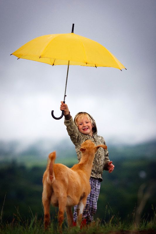 Что нам дождик проливной ? фото превью