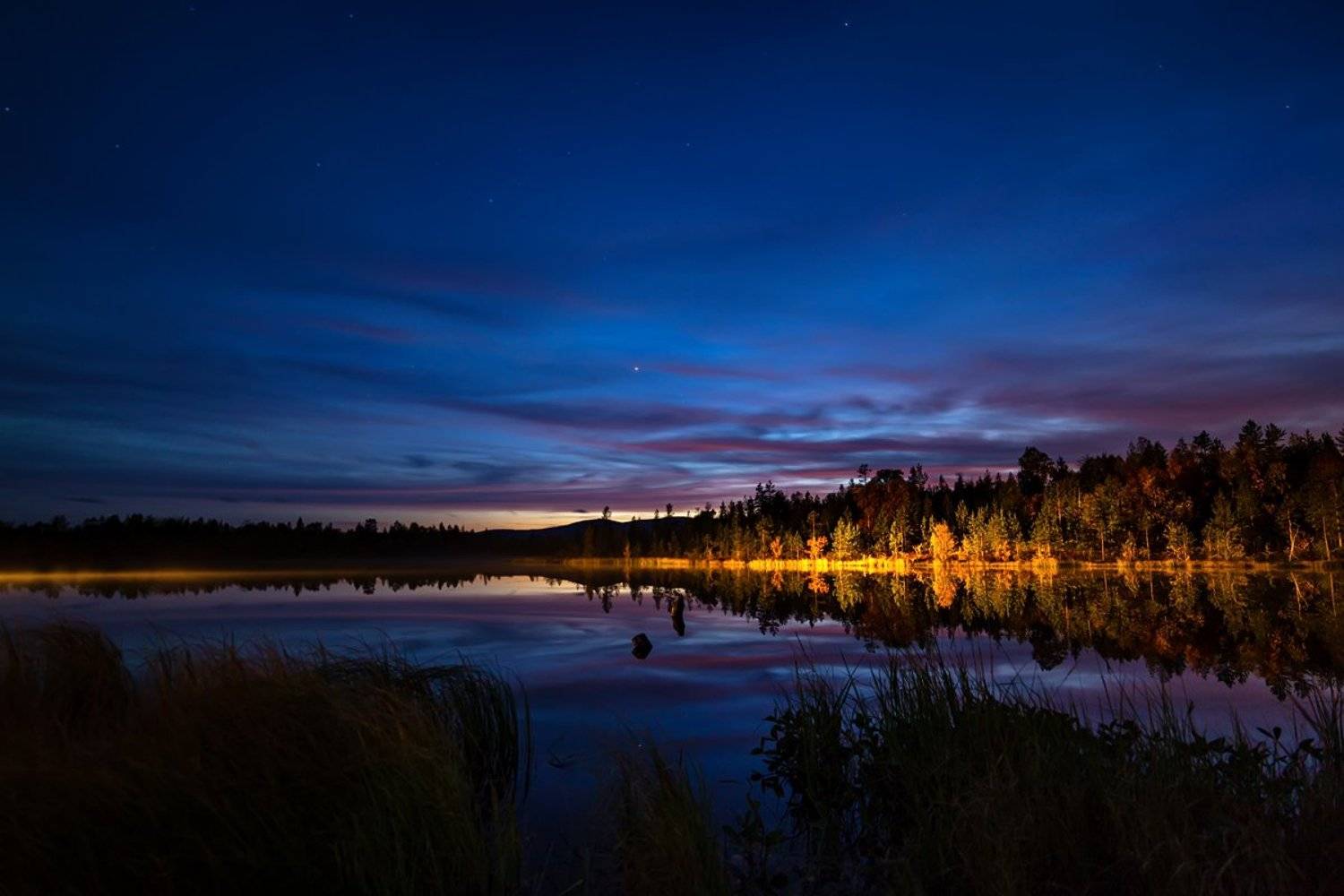 ночь,озеро,лес,небо,свет,, Матвеев Игорь