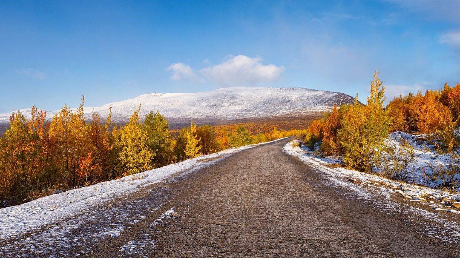 осень,горы,снег,жёлтые,листья,дорога,, Матвеев Игорь