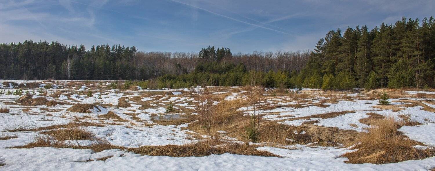 , Руслан Востриков