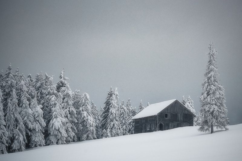 Shelter фото превью