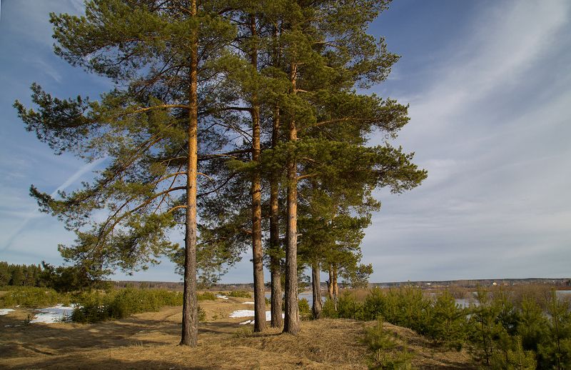 *** фото превью