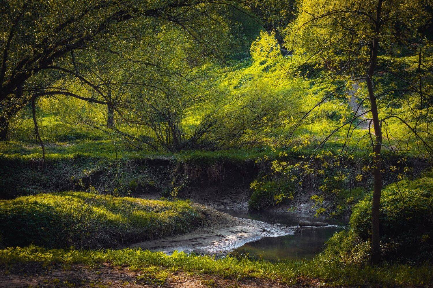 фото, природа, весна, сад, река, Екатерина