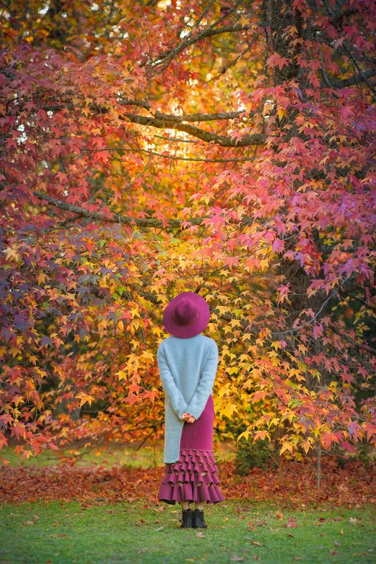 AUTUMN WISH фото превью