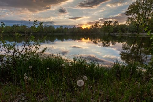 Городской парк