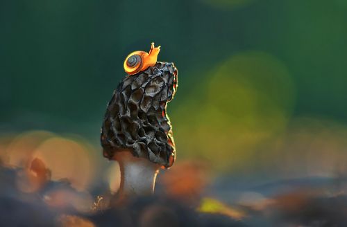 Провожая солнце...