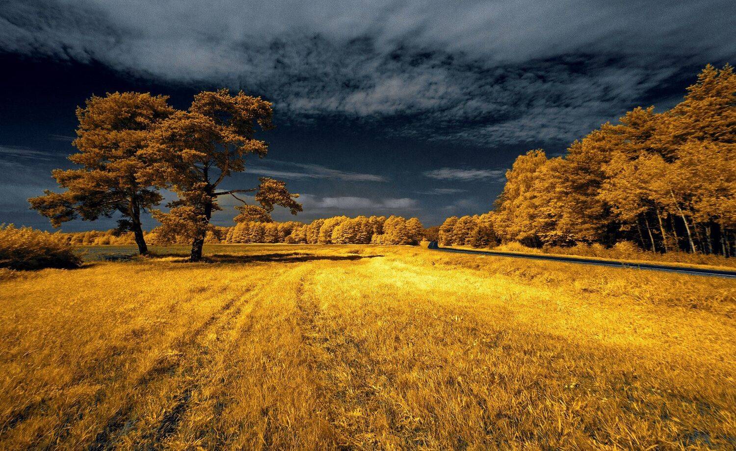 infrared,ик-фото,инфракрасное фото,инфракрасная фотография,пейзаж,природа,беларусь,осень,инфракрасная съемка, Sixten ( Сергей )