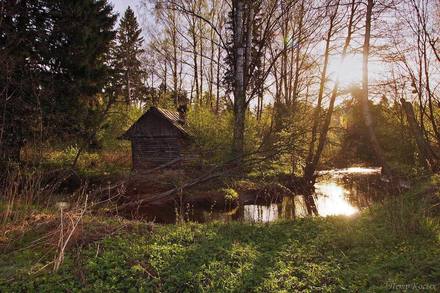 , Петр Косых