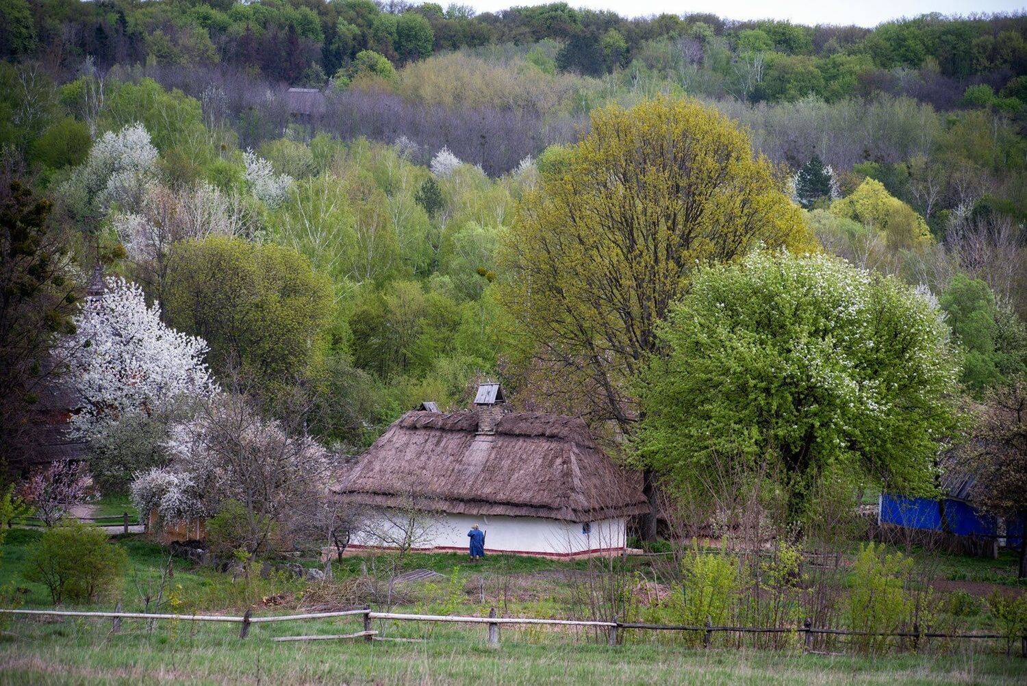 , Юрий Юрьев