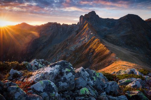 Awakening