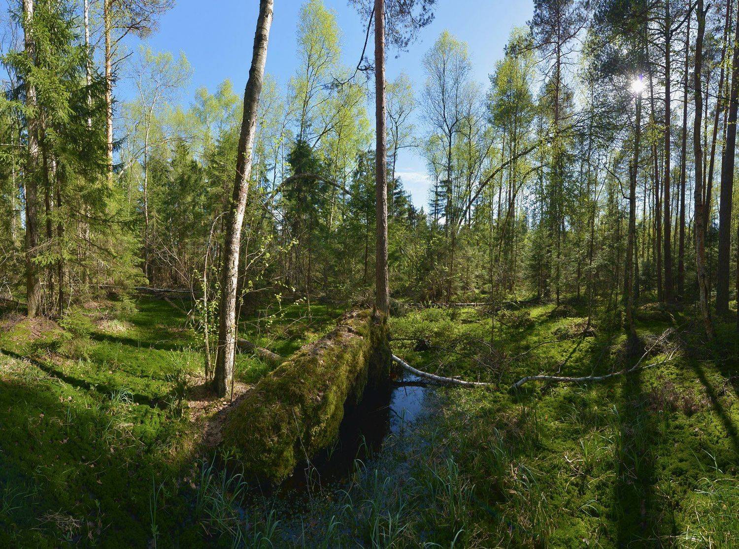 , Сергей Седов