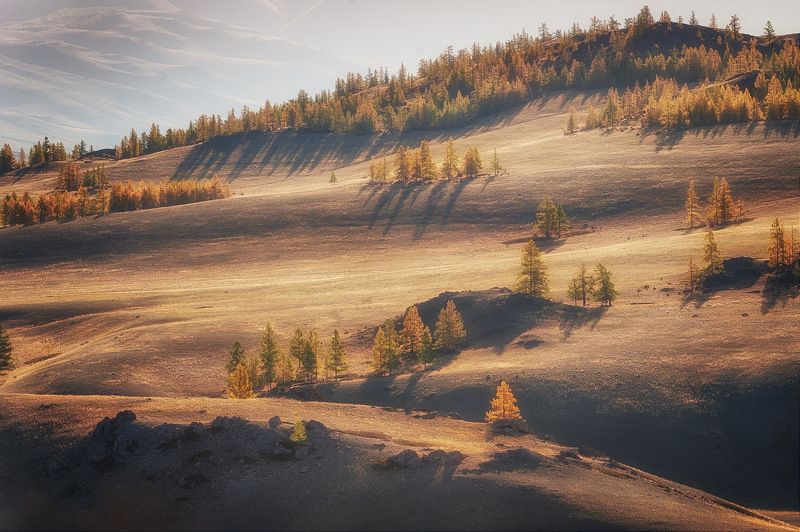 алтай курайская степь осень утро Утро в степи фото превью