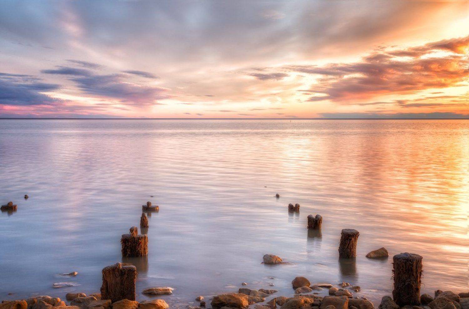 , Щипкова Елена