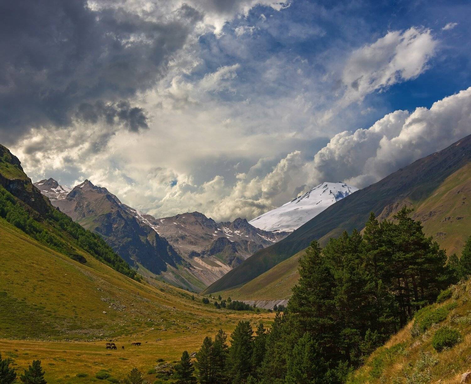 горы, эльбрус, Эстелла