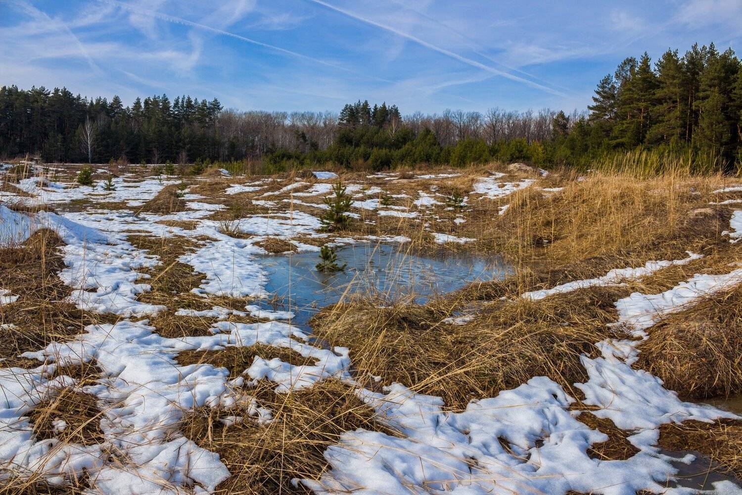 , Руслан Востриков