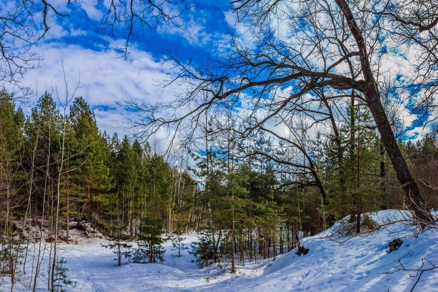 , Руслан Востриков