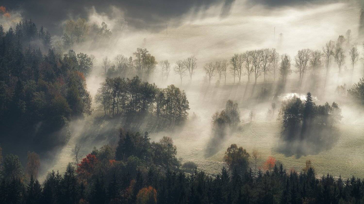landscape,canon,mist,light,autumn, Iza i Darek Mitręga