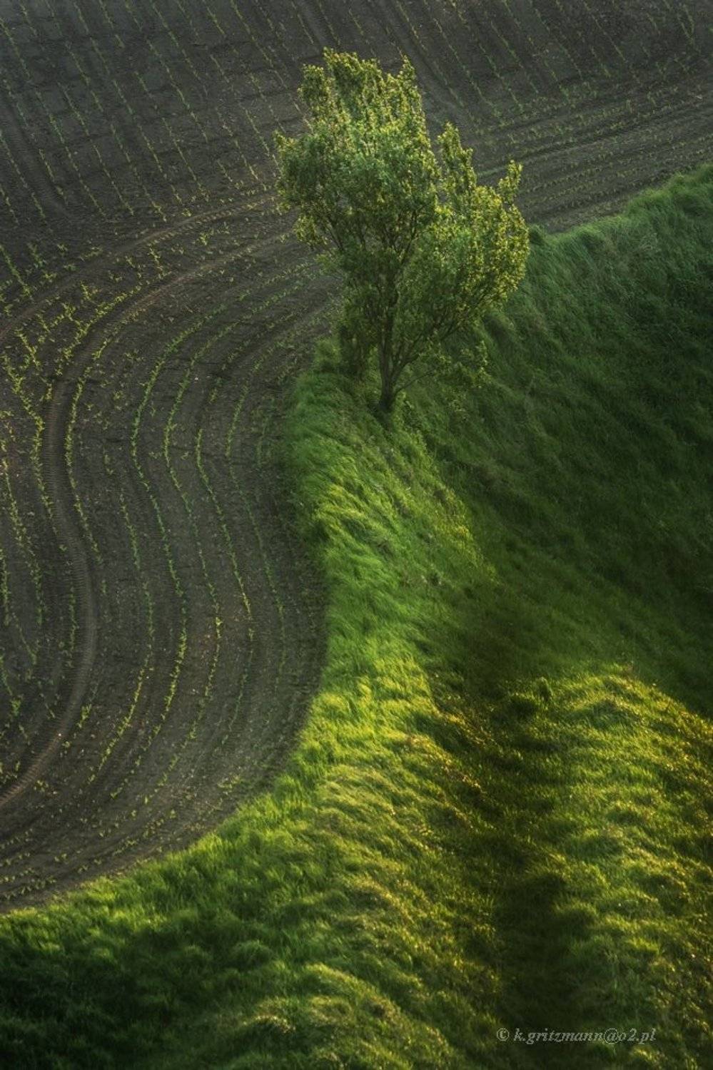 , Katarzyna Gritzmann