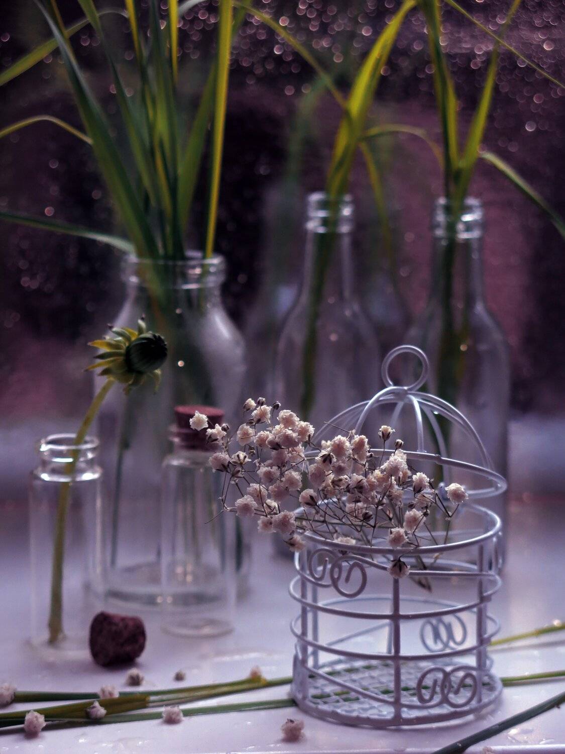 , Елена Лысенко