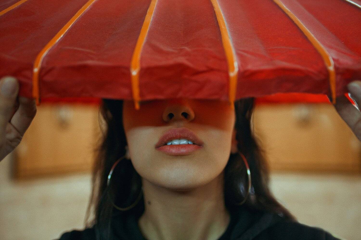 , Павел Фишар