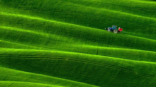 Зеленые дюны Тосканы