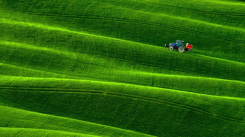 Зеленые дюны Тосканы фото превью