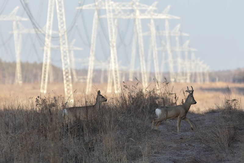 урбанизация фото превью