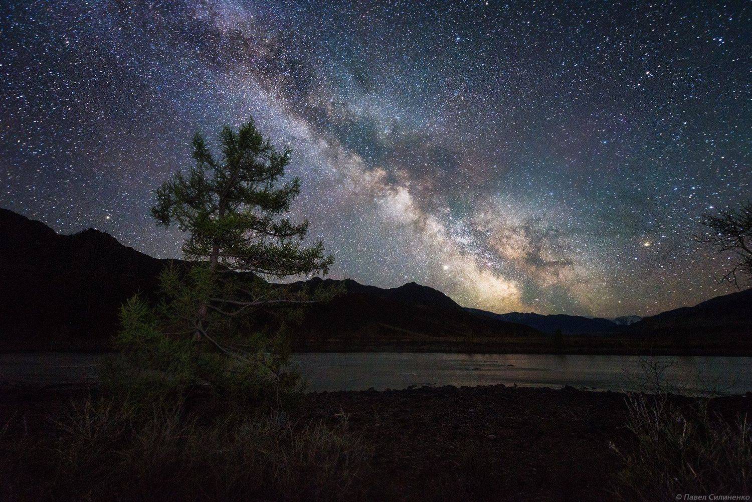 Алтай, млечный путь, ночь, звезды, пейзаж, Катунь, весна, Павел Силиненко