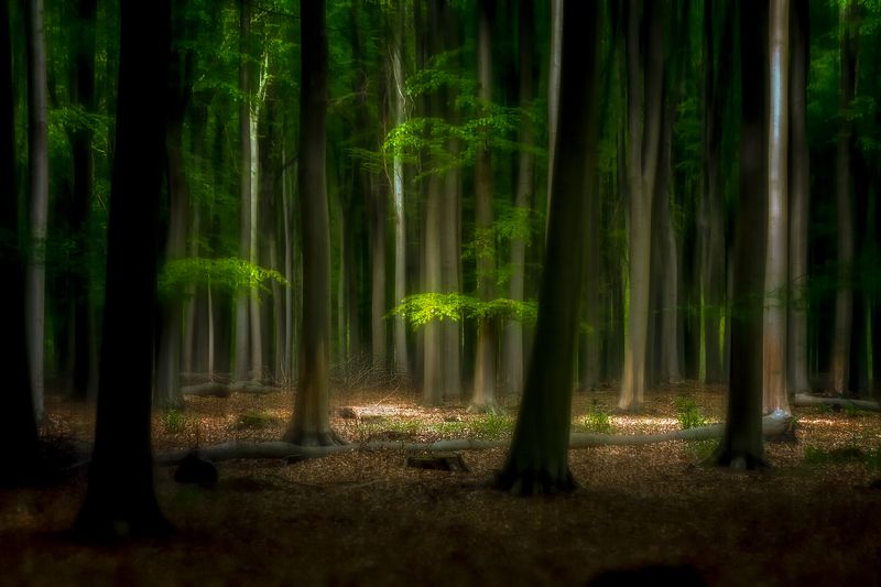 Сияние солнца фото превью