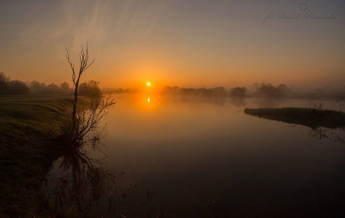 , Pawel Plucinski