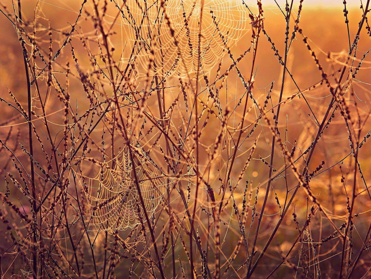 Photo, photo studio, photo travel, photo nature, woomen, Juris Zēbergs