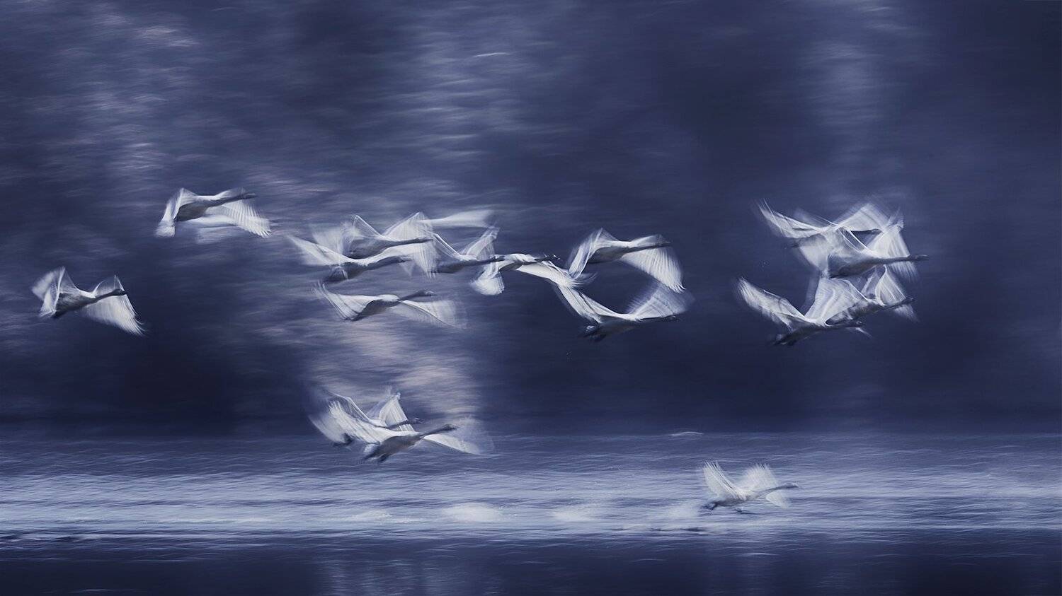 , suk eun kim
